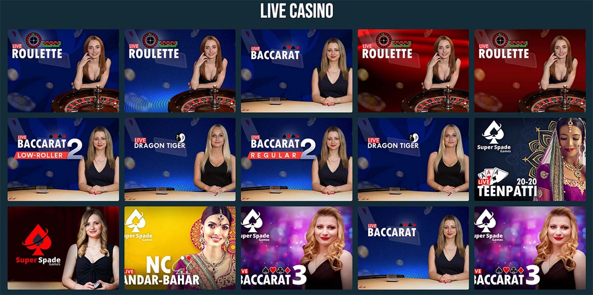 Live Casino Games at PlayLive Casino