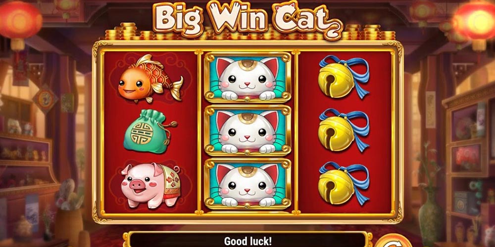 big win cat